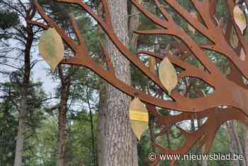 GEMEENTERAAD. Ook Oudsbergen opent sterrenregister voor stilgeboren kindjes