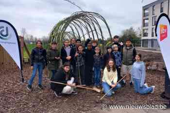Speelplaats Sint-Laurens pak groener dankzij leerlingen