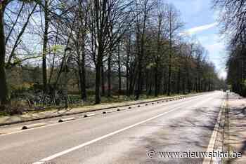 Water-link voert werken uit op Hooftvunderlei-Sterckshoflei