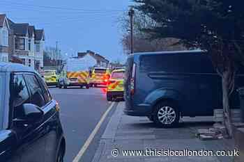 Hurstbourne Gardens Barking arrest: 'Armed' man held by police
