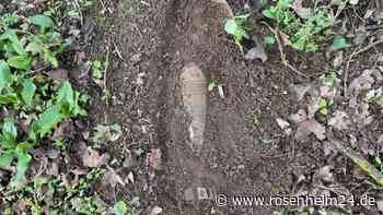 Gefährlicher Fund! Mörsergranate stoppt Umweltaktion im Kreis Heidenheim