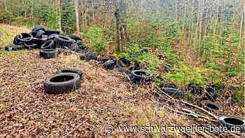 Im Killbergwald Nagold: Besonders dreister Fall  der wilden Müllentsorgung
