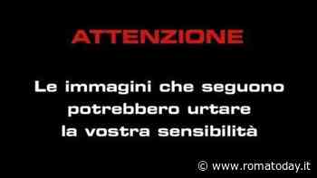 VIDEO | Travolto da un'auto sulle strisce pedonali, il pirata della strada ripreso dalle telecamere