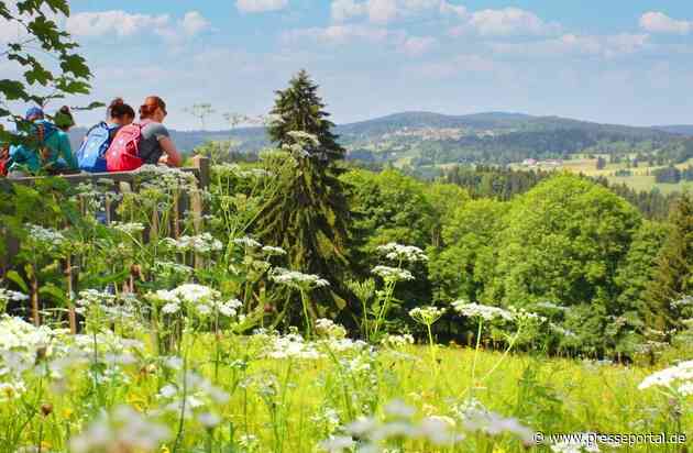 Wo es grünt, blüht und summt / Sommerliche Wanderungen durch die grüne Idylle des Bayerischen Waldes