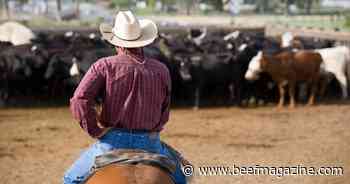 Groundbreaking working grant program launches in Texas, Oklahoma