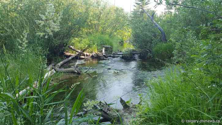 Conservation group's attempt to stop Alberta gravel pit mine denied by board