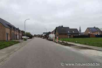 Oppositie kritisch over kappen van meidoorns in Tinnenpotstraat