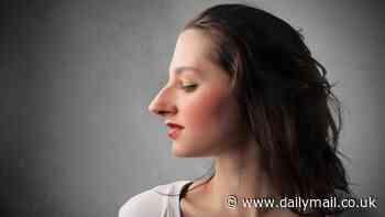 Big nose? Blame your mum! Your facial features may be influenced by what your mother ate during pregnancy, study claims
