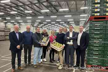 Fruitveiling in Glabbeek blijft voor BelOrta  belangrijkste uitvalsbasis in het Hageland