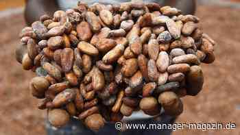 Kakao-Preise steigen so stark wie seit 20 Jahren nicht