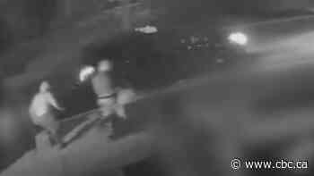 Pair of cars set ablaze in Vaughan in suspected vehicle arson