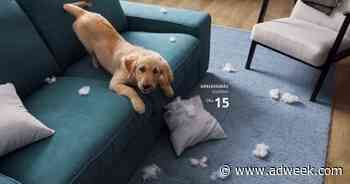 Ikea’s Sweet Ads Capture the Messy Realities of Pet Ownership