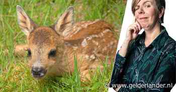 Waarom sommige mensen wel genieten van de natuur, maar er niet erg veel om lijken te geven