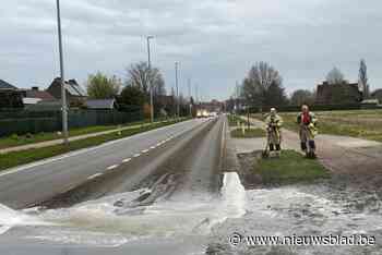 Stinkend zaakje in Torhout: boer laat mestkar openstaan, laat spoor van drie kilometer na en vlucht weg