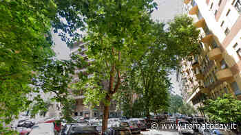 La stagione delle potature è quasi finita ma al Flaminio molte strade sono rimaste indietro