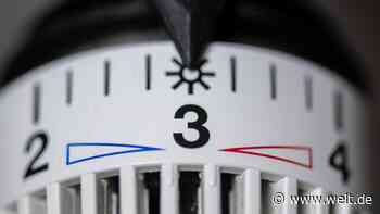 Bundesamt stoppt vorerst Auszahlung der Förderung für Energieberatung