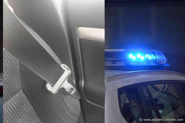 Upper Ottawa Valley Police will be doing checks for seatbelts and “The Big 4”this Easter weekend 