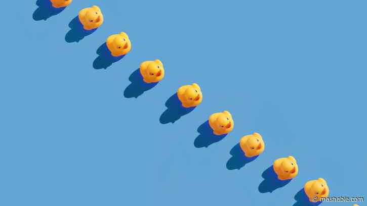 X's new best friend is a GIF of a joint-smoking cartoon duck