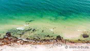 Schleswig-Holstein will bergen: 100.000 Tonnen Munition rosten in der Ostsee