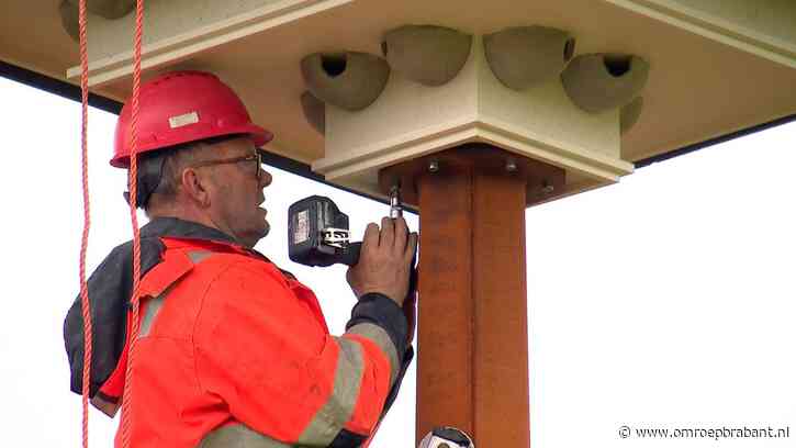 Nieuw thuis voor zwaluwen: 'Ze vangen duizenden muggen'