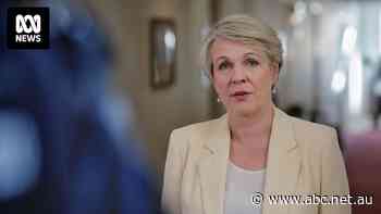 'Listen to us, Tanya': Former Labor leaders call on environment minister to protect Aboriginal rock art from gas emissions