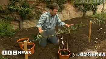 North Korea censors Alan Titchmarsh's trousers