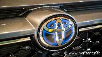 Interview mit Marketingdirektorin Cathrin Koch: So will Toyota künftig digital und emotional überzeugen