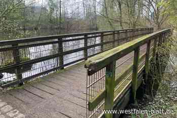 Brücke im Aawiesenpark wird nicht erneuert