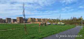 Het Olmenpark krijgt een hondenveld