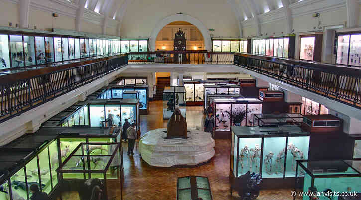 Horniman Museum to start having late openings
