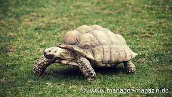 Kundenservice: Wer langsam spricht, wirkt empathischer