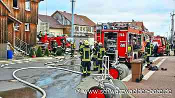Nicht alle Tiere gerettet: Katze stirbt bei Brand in Bieselsberg