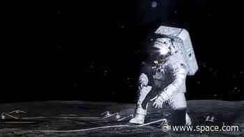 Artemis astronauts will carry plants to the moon in 2026