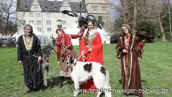 Gartenfestival steigt rund um das Wolfsburger Schloss
