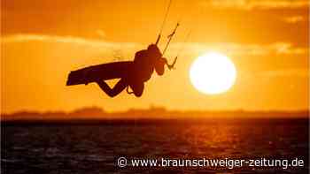 Mit dem Hund ans Meer: So klappt der Nordsee-Urlaub