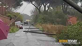 Crollano i pali del telefono, auto nel fossato per evitare di rimanere schiacciata