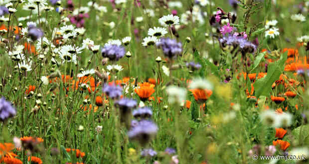 GPA publishes guidance to improve biodiversity across government estate