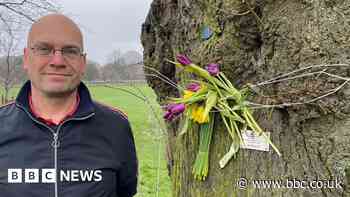 Tree memorials 'turning historic parks into graveyards'