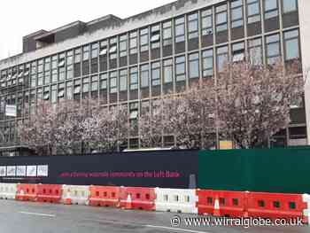 Plea to save trees near Wirral town hall's north annexe