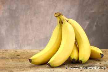 Inbreker bedreigt vrouw in rolstoel maar vlucht als ze hem een banaan geeft: “Hij had gewoon honger”