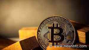 The Road To $100,000: Bitcoin Whale Accumulation Explodes