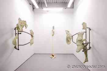 Artist Nicki Cherry surrenders control