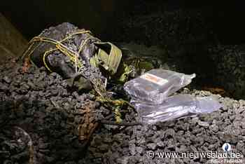 Cocaïne tussen de kolen uit Colombia: politie onderschept twee ladingen drugs in Gentse haven