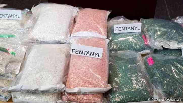 YOUR PERSPECTIVE: A.G.’s report highlights failure of NDP’s overdose prevention and ‘safe supply’ programs