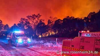 Smartphone löst gigantisches Flammeninferno aus – Löscharbeiten dauern mehrere Tage