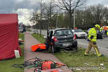 Vrouw (75) overleden bij frontale botsing in Malle: straat afgesloten