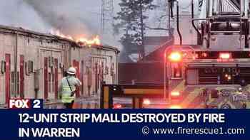 Wind-whipped fire destroys Mich. shopping plaza