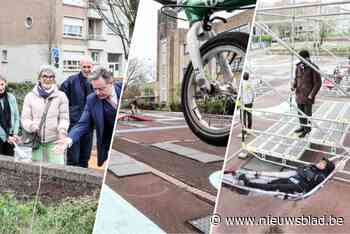 Moestuintjes, fietsparcours en hangmatten: wie zich wil ontspannen moet op middenberm Jan De Voslei zijn