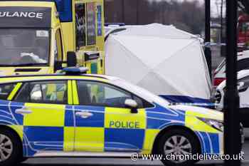 Man, 68, arrested on suspicion of murder after alleged stabbing on Tyne Tunnel Trading Estate