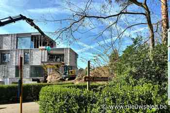 Zeldzame mammoetboom gekapt door werken aan nieuw appartementsgebouw: “Stond niet veilig”